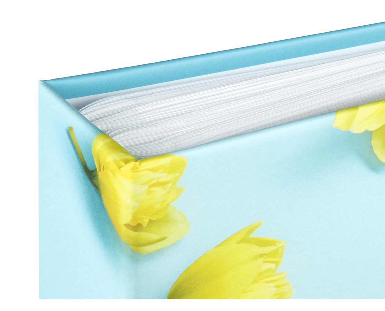 Product image thumbnail