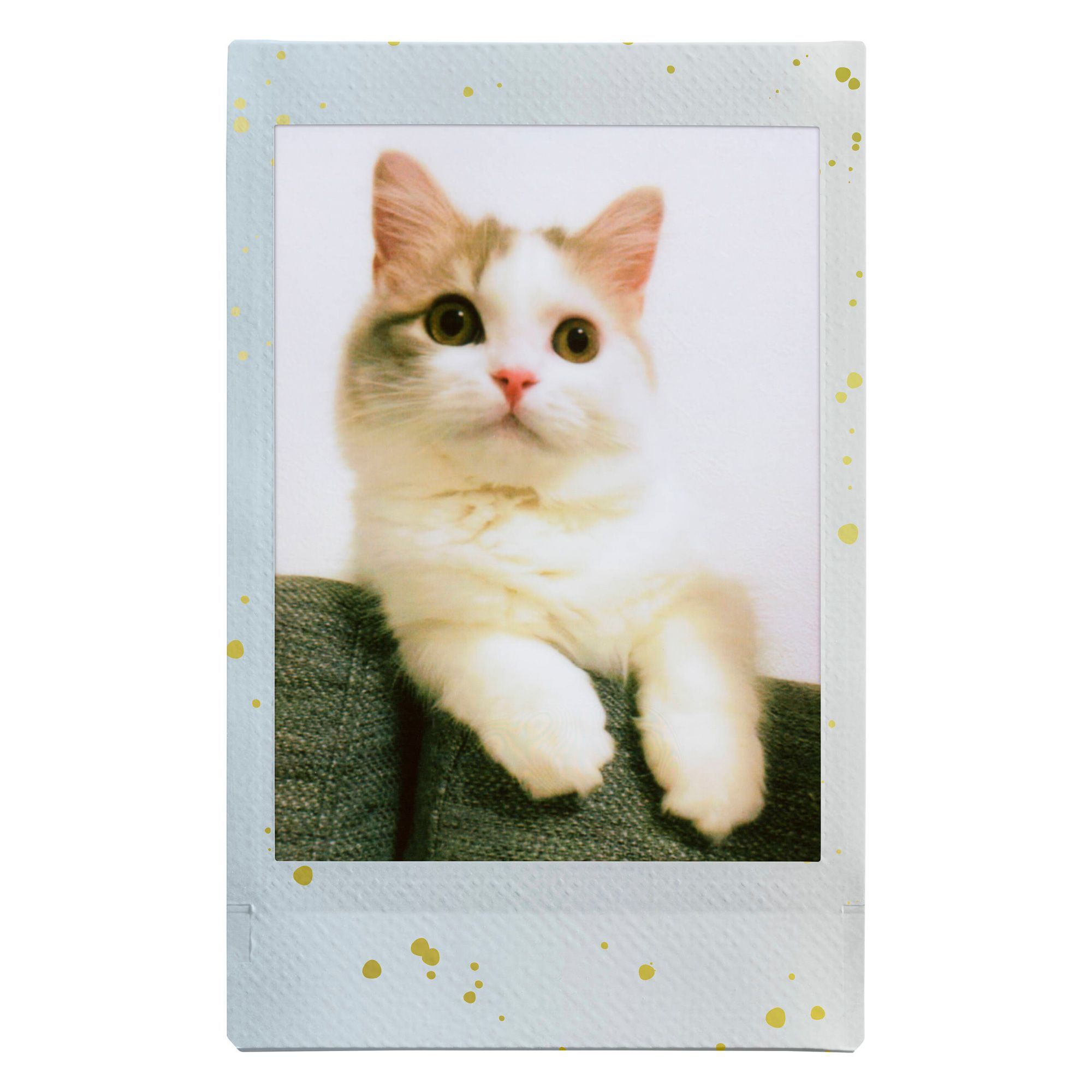 Product image thumbnail