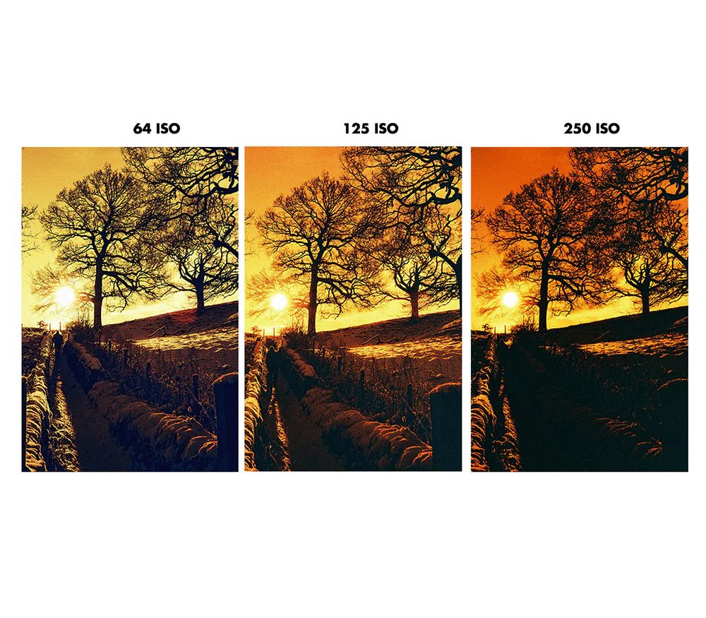 Product image thumbnail