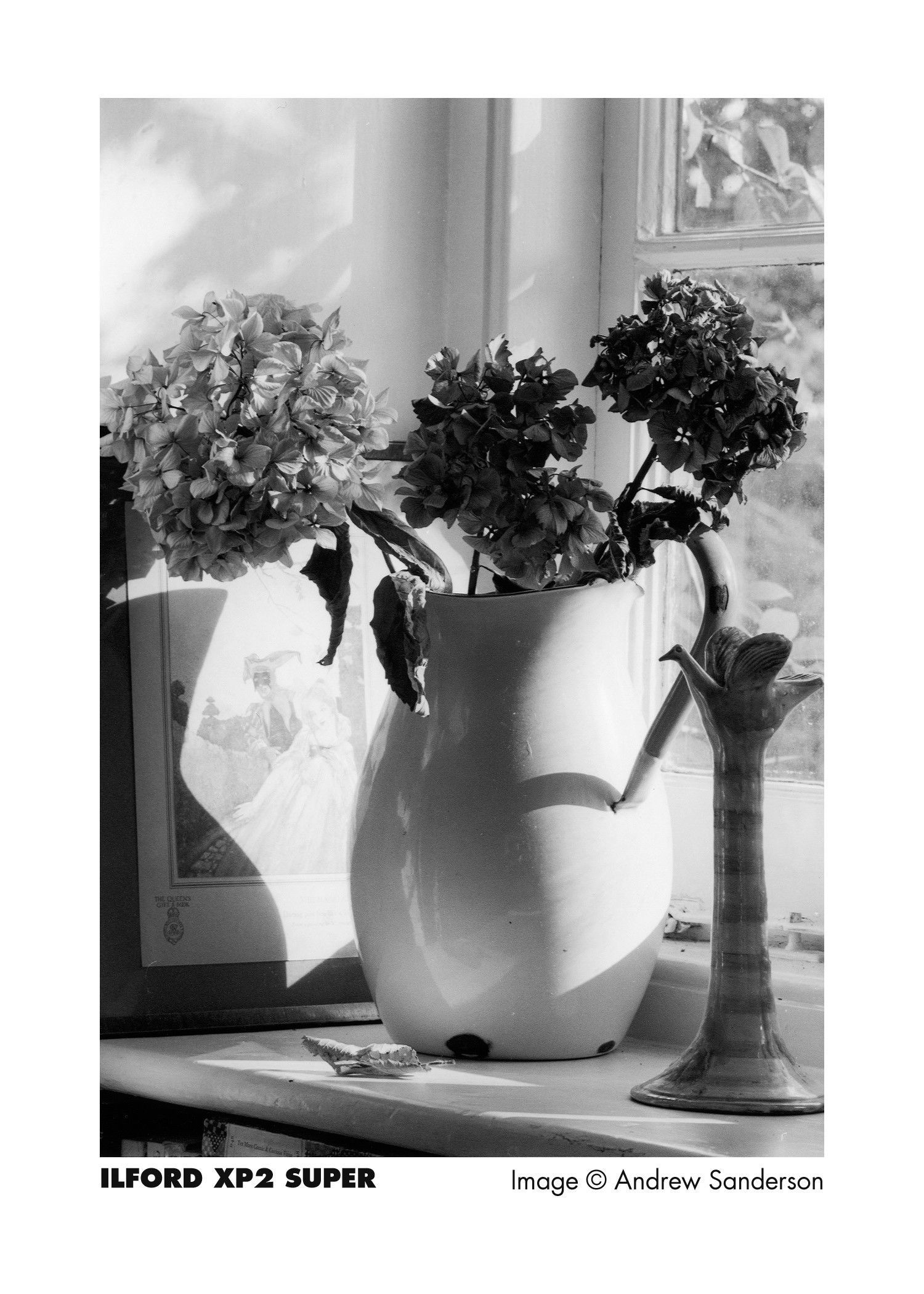 Product image thumbnail