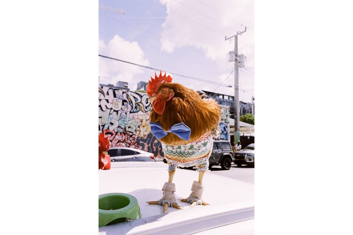 Product image thumbnail